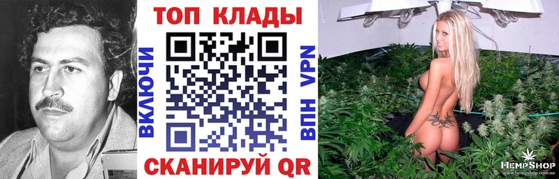 Где найти наркотики Суворов ГАШ Alpha-PVP КОКАИН Меф мяу мяу Каннабис