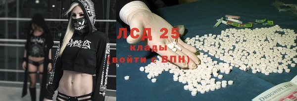 индика Арсеньев