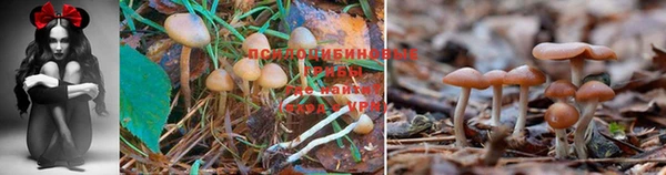 mdpv Аркадак