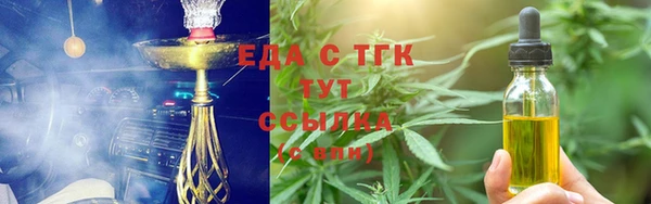 индика Арсеньев