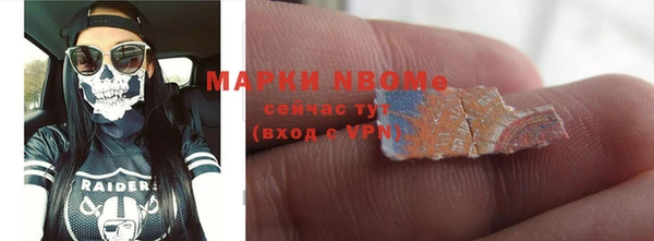 индика Арсеньев