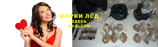 индика Арсеньев