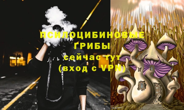 индика Арсеньев