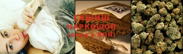 индика Арсеньев