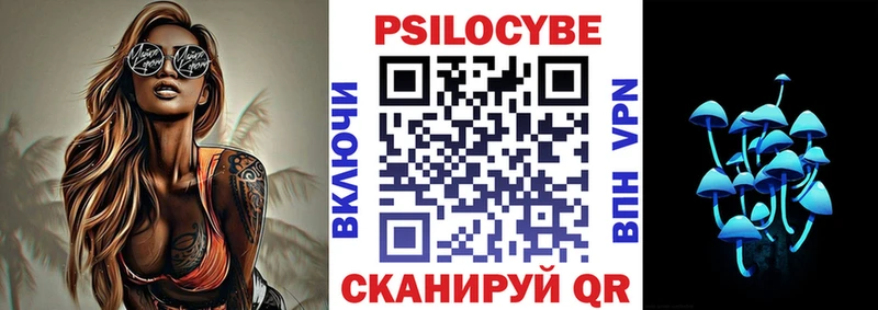 Псилоцибиновые грибы Magic Shrooms  где найти   маркетплейс формула  Суворов 